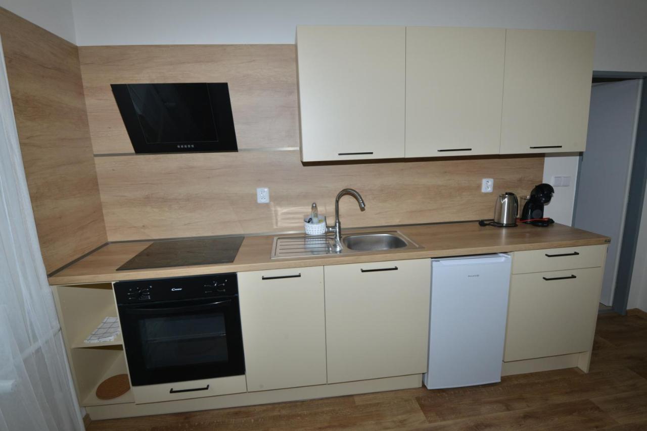 Apartmany U Peslu Železná Ruda Exterior foto